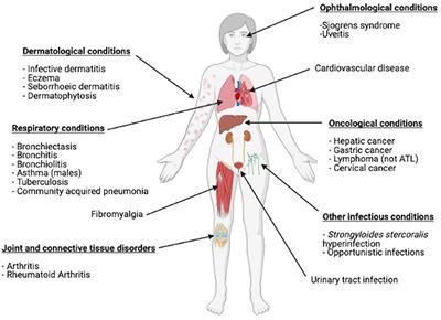 A Review of the Prevention of Mother-to-Child Transmission of Human T-Cell Lymphotrophic Virus Type 1 (HTLV-1) With a Proposed Management Algorithm